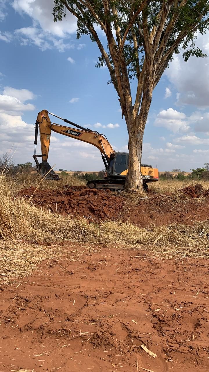 Escavadeira realizando supressão de árvore em obra